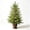 Cypress:2 ft, variant on Clearance Artificial Norfolk Pine Christmas Tree, 4FT Fake Potted Tree Faux Plant with LED for Front Door Indoor Outdoor Porch Room Office Holiday Home Xmas Decor
