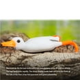 thumbnail image 4 of Ruiboury False Bait Plastic Surface Duck Lure Floating Baits For Bass Pike Catfish Strong Attraction Simulated Fish Scale Pattern No.2 1Set, 4 of 6