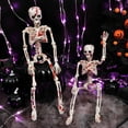 thumbnail image 2 of Cheapark Halloween Skeleton Decoration - Realistic Prop For Indoor Outdoor Scary Scene, Holiday House Party Decoration, 2 of 8