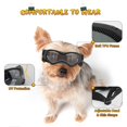 thumbnail image 2 of Gafas para perros PETLESO para razas pequeñas con protección UV, 2 of 5