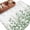 White Light Green Emerald Green, variant on Spring Emerald Green Eucalyptus Entryway Rug 2'x3' Non Slip Front Door Mats, Botanical Leaf Country Entrance Rugs Indoor Outdoor Carpet, Washable Floor Mats Small Area Rug for Bedroom Kitchen