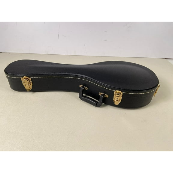 TKL Archtop A Mandolin Case