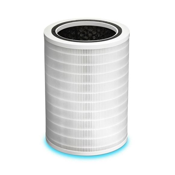 Clorox 320 Large Room True HEPA Replacement Filter 12010