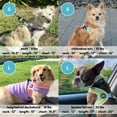 thumbnail image 5 of Gooby Simple Step in III Harness - Pink, X-Small - No Pull Small Dog Harness with Scratch Resistant Outer and Soft Inner Mesh Vest, 5 of 5
