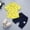 Yellow, variant on TAIAOJING Baby Boy Clothes Outfits Toddler Kids Summer Gentleman Suit Short Sleeve T Shirt Tops Shorts Casual 2PCS Set Baby Clothes 2-3 Years