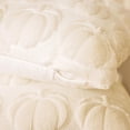 thumbnail image 2 of Cream White Fall Pumpkin Decorative Throw Pillow Covers Set of 2, 20x20 Inch Soft Plush 3D Embroidered Halloween Pillow Covers for Fall Decorations Farmhouse Cushion Covers for Thanksgiving, 2 of 9