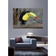 thumbnail image 2 of Wallhogs Toucan I Glossy Wall Mural, 2 of 2