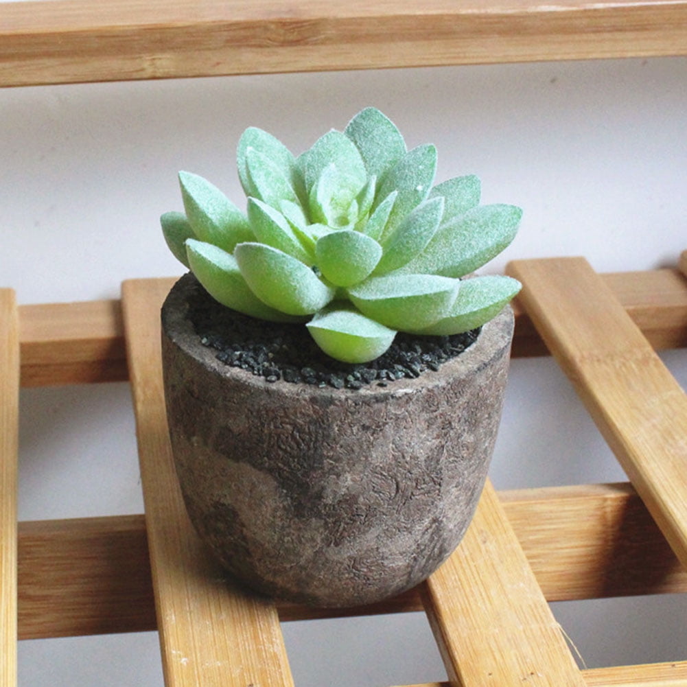 Artificial Succulents Plant with Pot Fake Cactus Alow Bonsai Home Garden Decor 