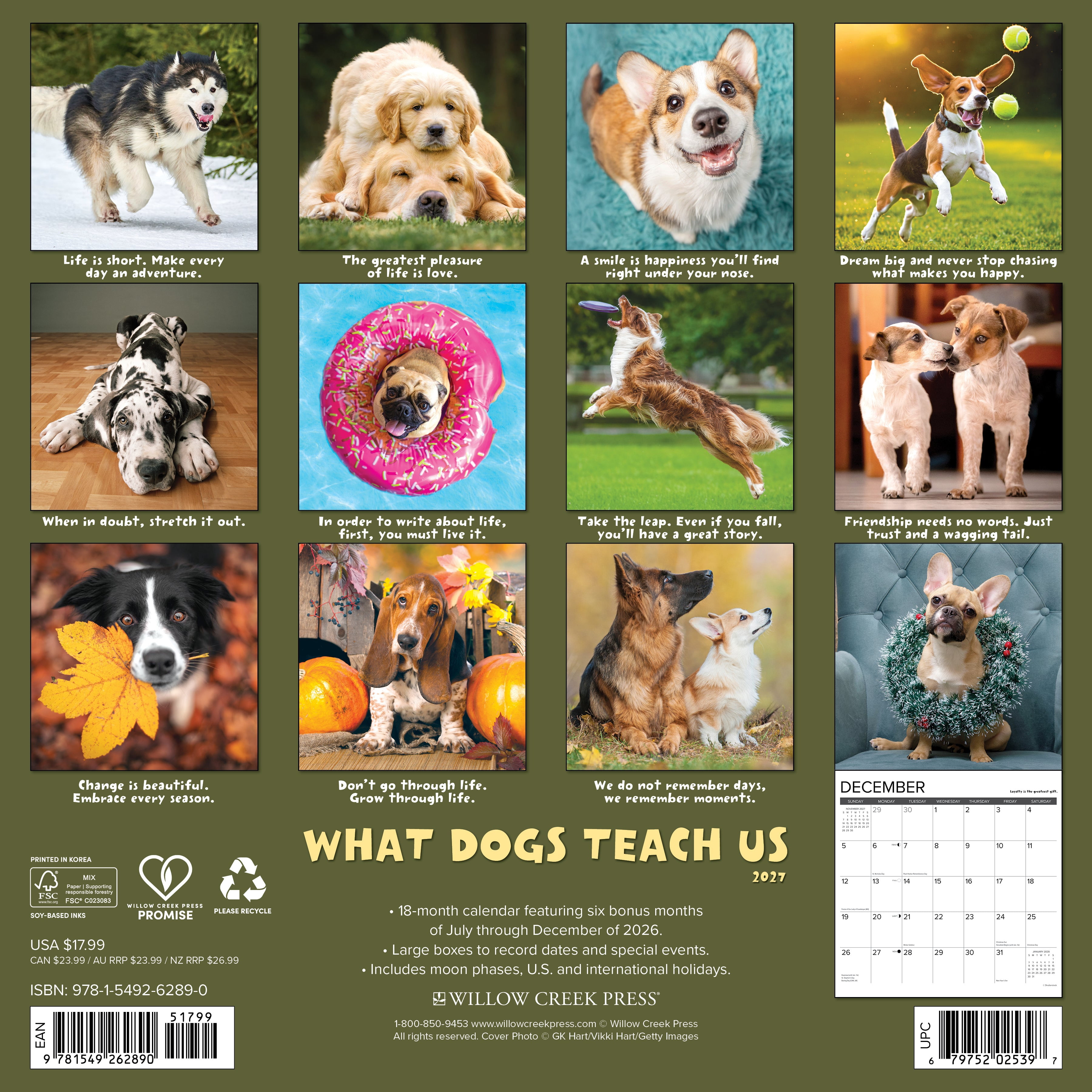 Willow Creek Press, What Dogs Teach Us 2027 Wall Calendar