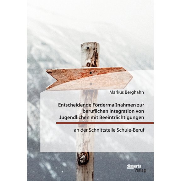 Entscheidende FördermaÃnahmen zur beruflichen Integration von Jugendlichen mit Beeinträchtigungen an der Schnittstelle S, (Paperback)