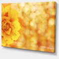 thumbnail image 2 of Beautiful Floral Yellow Background - Large Floral Canvas Artwork, 2 of 4
