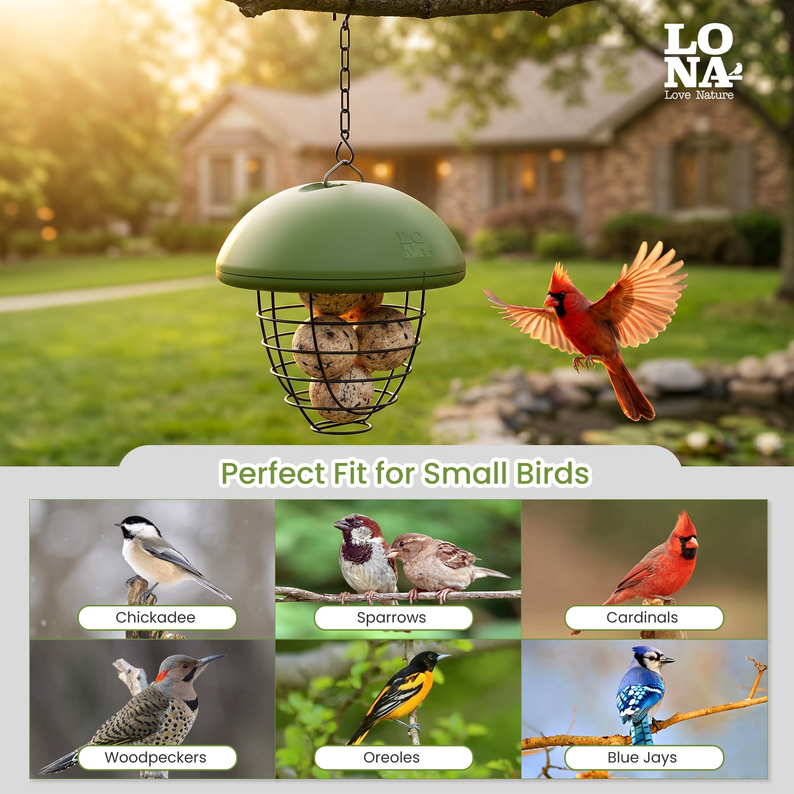 LONA Suet Ball Bird Feeder Outdoor Hanging Fat Ball Feeders with Versatile Mount Durable Weatherproof Washable Transparent Tube Wire Steel Metal Feeder for Wild Birds
