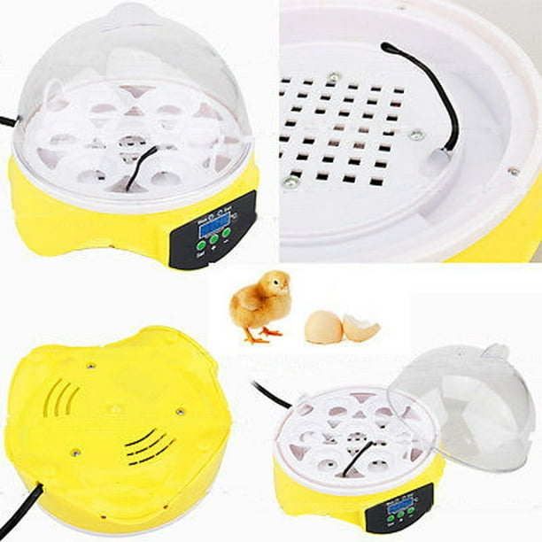 Ktaxon Mini 7 Eggs Digital Incubator Temperature Control ...