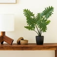 thumbnail image 7 of Vickerman 25" Artificial Potted Grand Philodendron Bush., 7 of 7