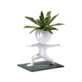 thumbnail image 1 of Huanglei Pots de Fleurs en Forme de Sport pour Plantes Succulentes Course Haltère Debout en Forme de Pot, 1 of 5