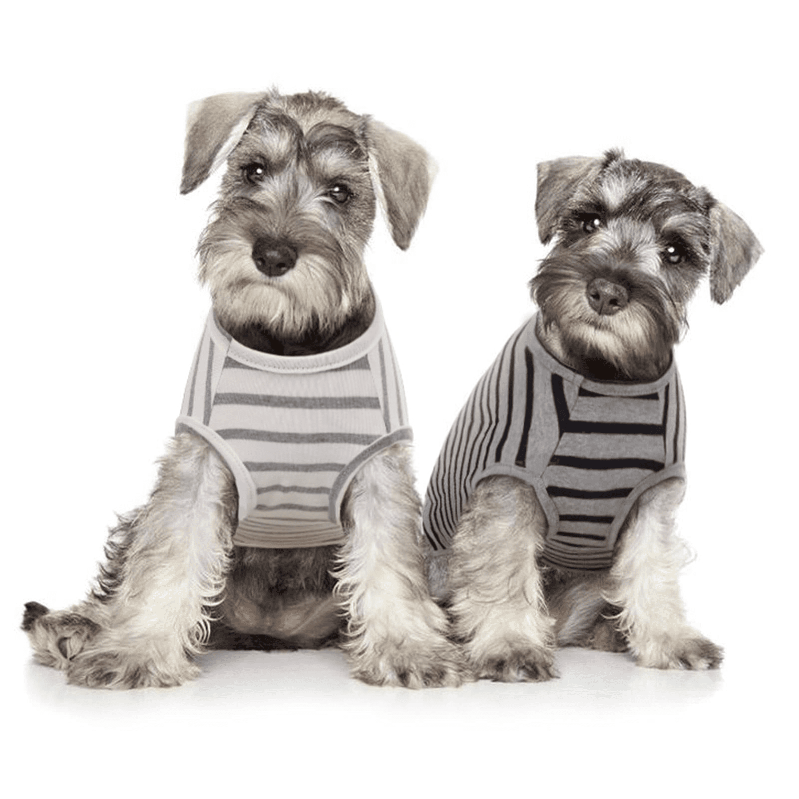 Spring Summer Small Puppy Pet Dog Apparel Cat Soft Comfortable Vest Shirt 