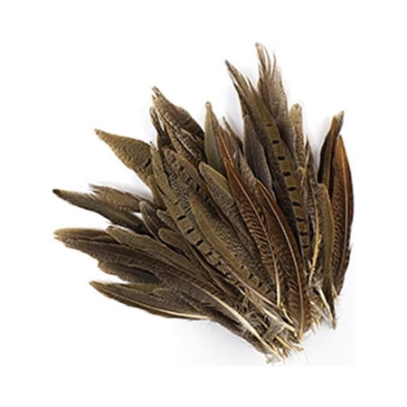 ZUCKER™ Assorted Ringneck and Golden Pheasant Tail Feathers -4 - 8" -100pcs - Natural