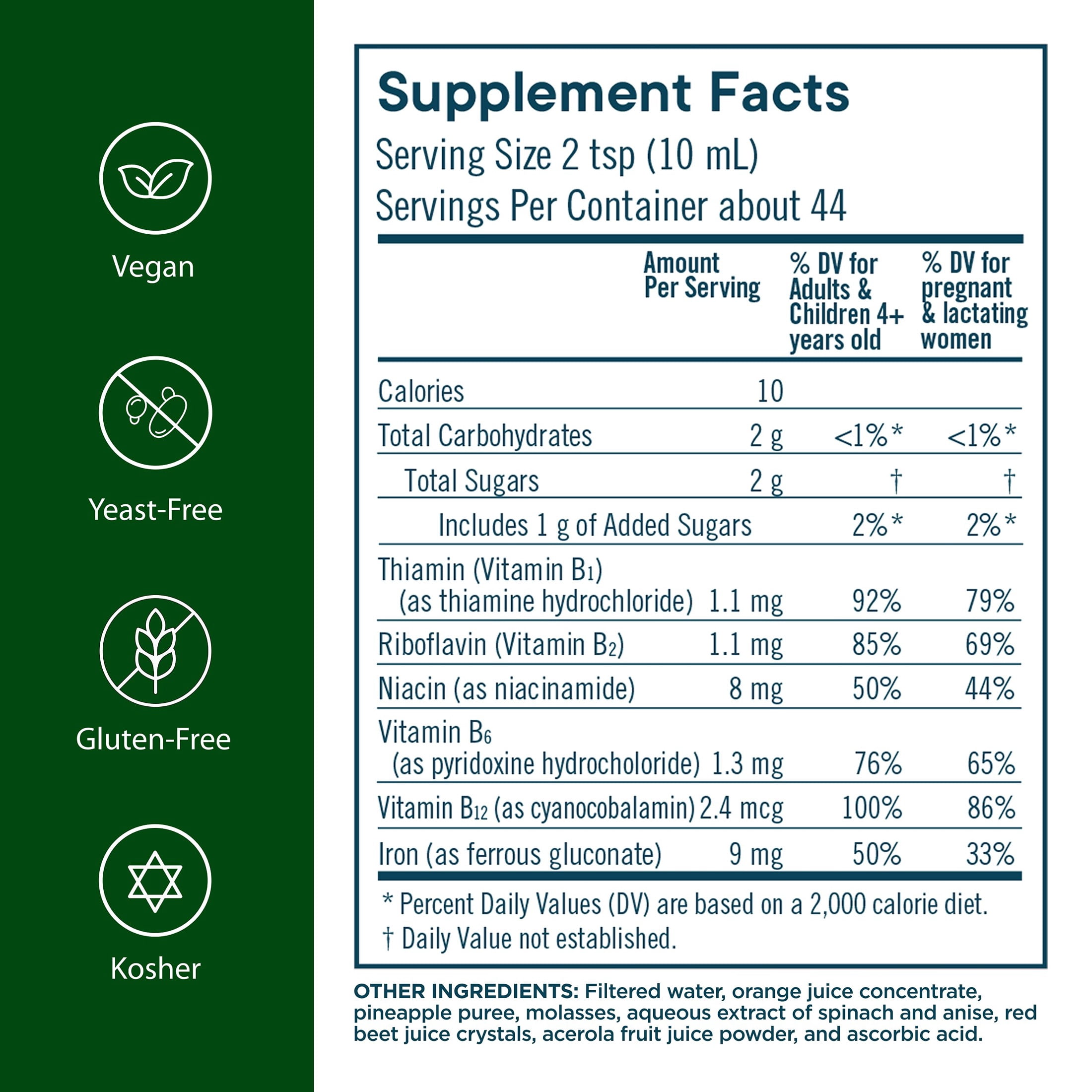 Flora Iron with B-Vitamin Complex - Helps Maintain Healthy Iron Levels - Non-Constipating, Highly Absorbable - Vitamin-B & Liquid Iron - Vegan Supplement - Gluten Free, 15- fl oz. Glass Bottle