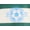 Collegiate Green, variant on Wonder Nation Little Boys' Rugby Polo with Short Sleeves, Sizes 4-10