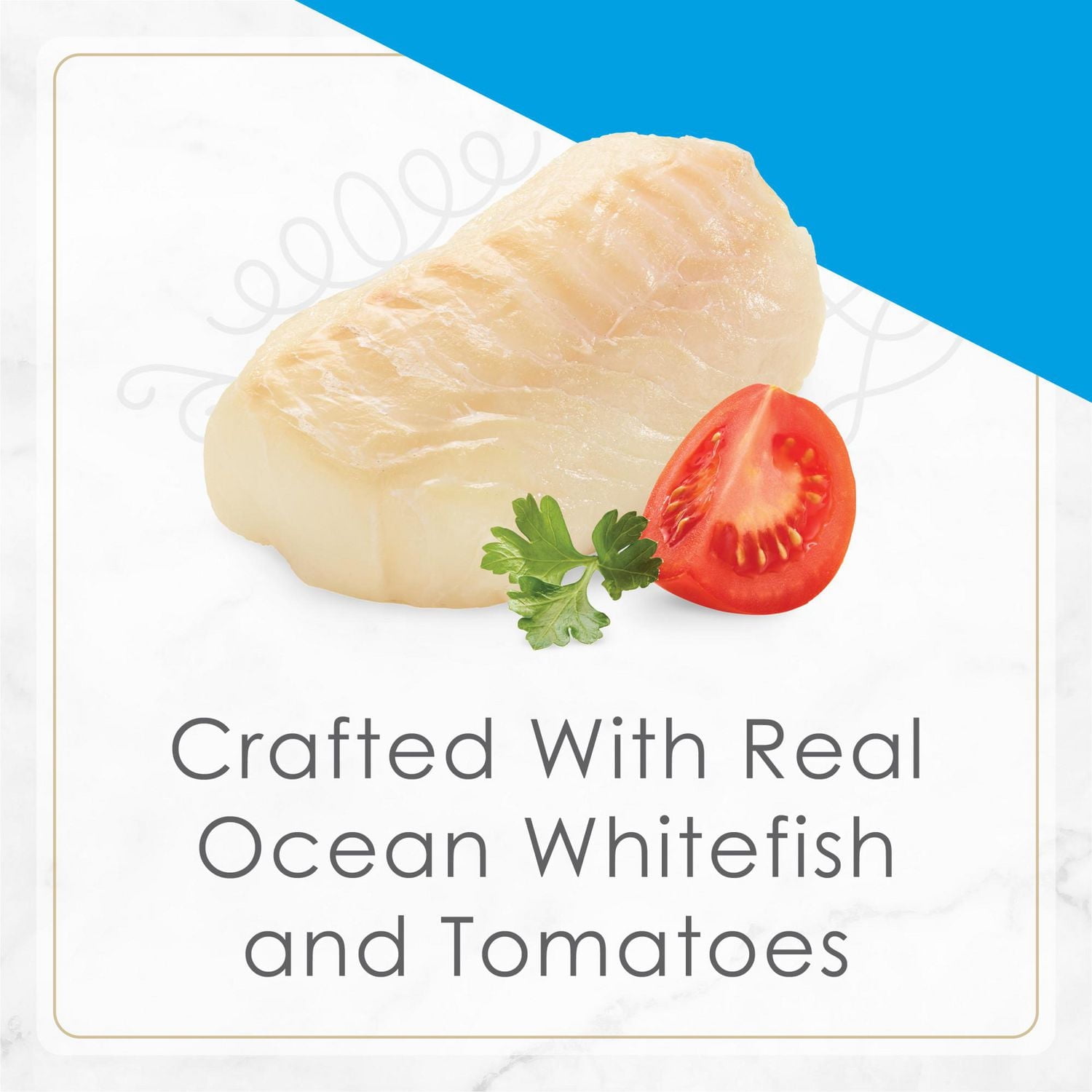 Fancy Feast Petites Entrée de Poisson Blanc avec Tomates Nourriture pour Chat Gourmet 79.4 g