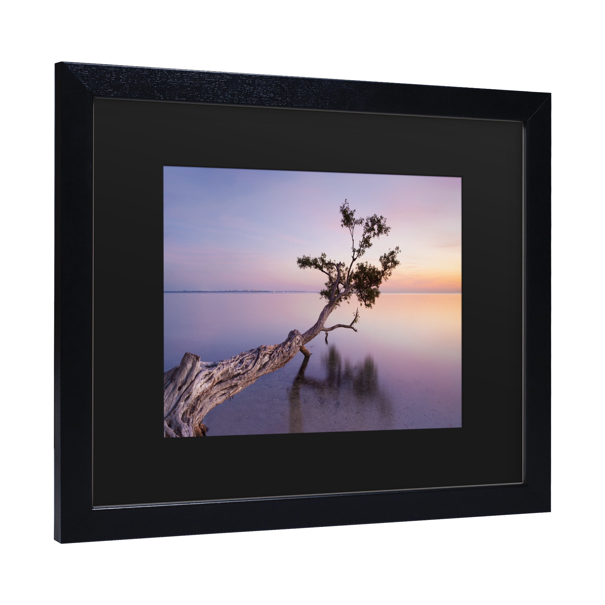Moises Levy 'Water Tree Xv' Matted Framed Art