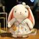 thumbnail image 1 of Cute Pastoral Style Rabbit Plush Toy / Bunny Doll with Flower Skirt and Bowknot / Pillow / Girl's Birthday GiftA40cm Deng Xun unisex, 1 of 2