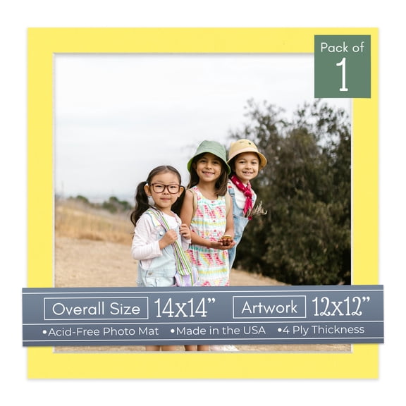 Yellow Picture Frame Mat for 14x14 Frames - Fits 12x12 Photos - 1 Mat