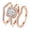 Rose Gold, variant on 18K White Gold Plated Cubic Zirconia Three-in-One Halo Wedding Engagement Promise Eternity Ring Set for Women