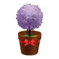 thumbnail image 1 of Purple Diy Crystal Flower Experiment Kit For Children Educational Science Toy Fast Development In 24 Hours Stem Activity Fun Family Project, 1 of 3