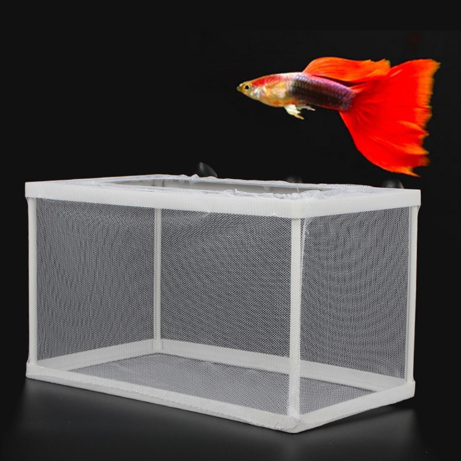 breeding net fish 2 Pcs Aquarium Hatchery Isolation Box,Nylon Mesh Fish Fry Hatchery Breeder Box Separation Net with Isolation Board : Pet Supplies you need to assemble the breeder together Net Breeder for Guppies!