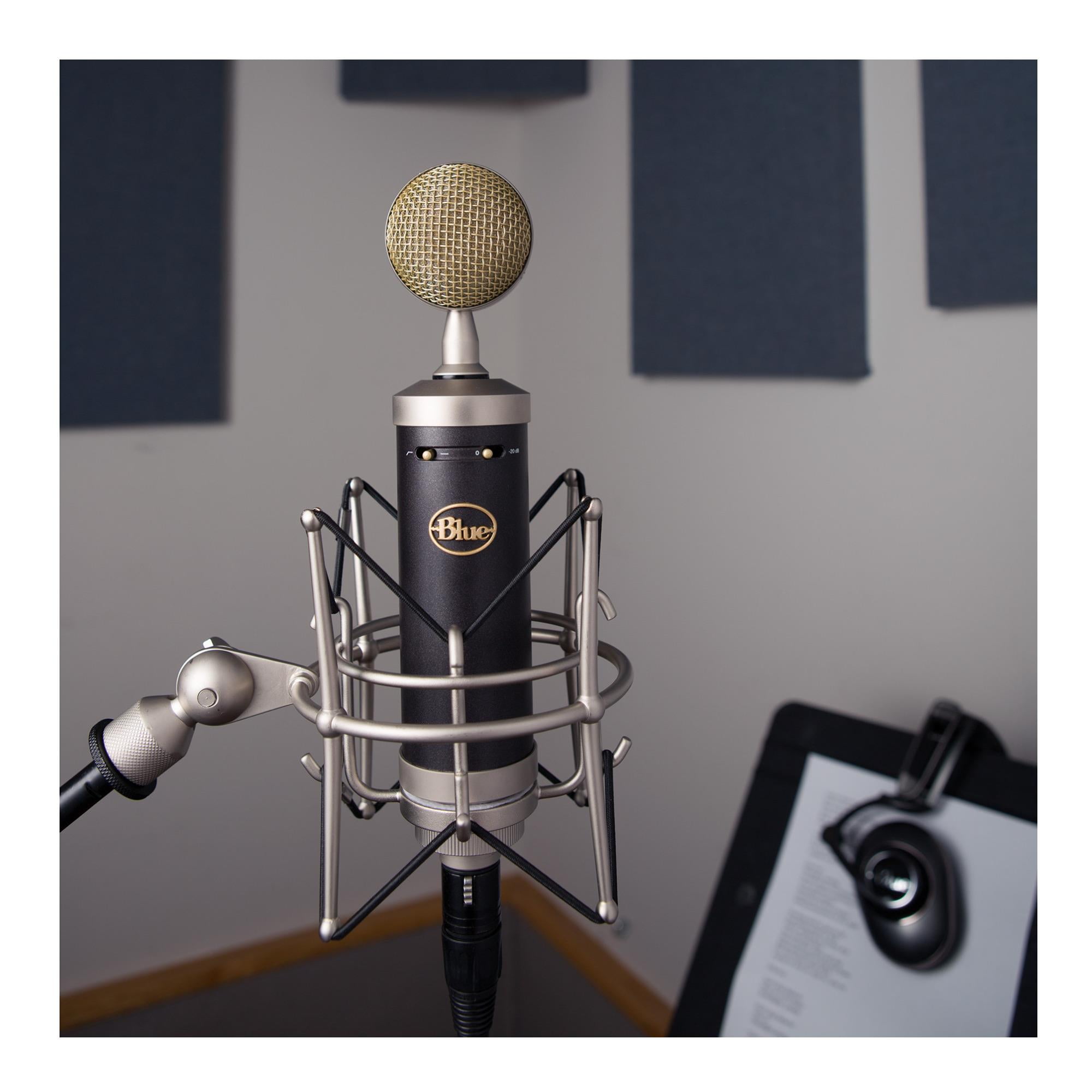 Blue Microphones Baby Bottle SL Large-Diaphragm Cardioid Condenser Microphone