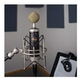 thumbnail image 5 of Blue Microphones Baby Bottle SL Large-Diaphragm Cardioid Condenser Microphone, 5 of 7