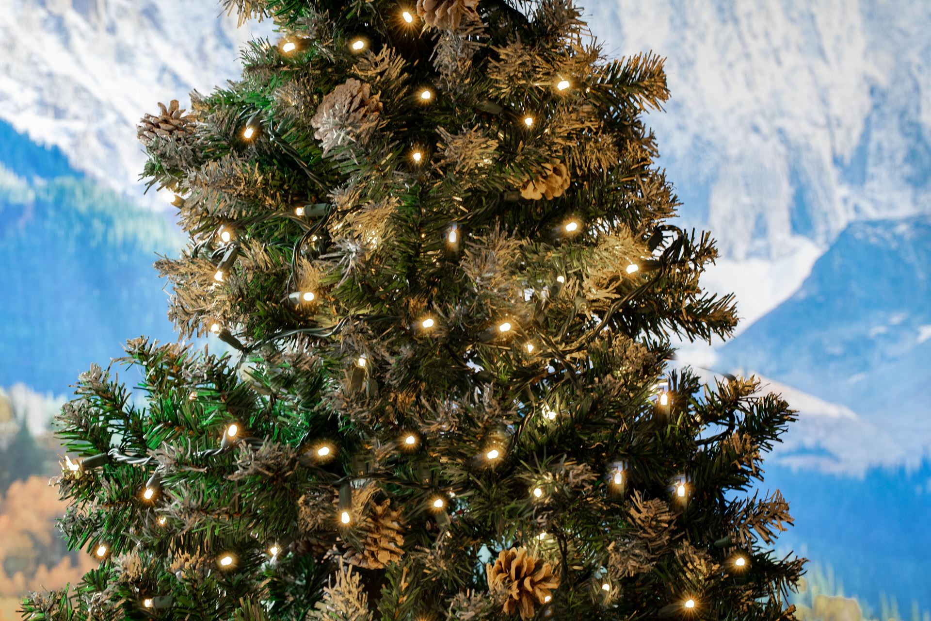 Novelty Lights 25FT 50 Light LED Warm White, Outdoor String Lights, Corded Electric, Dimmable