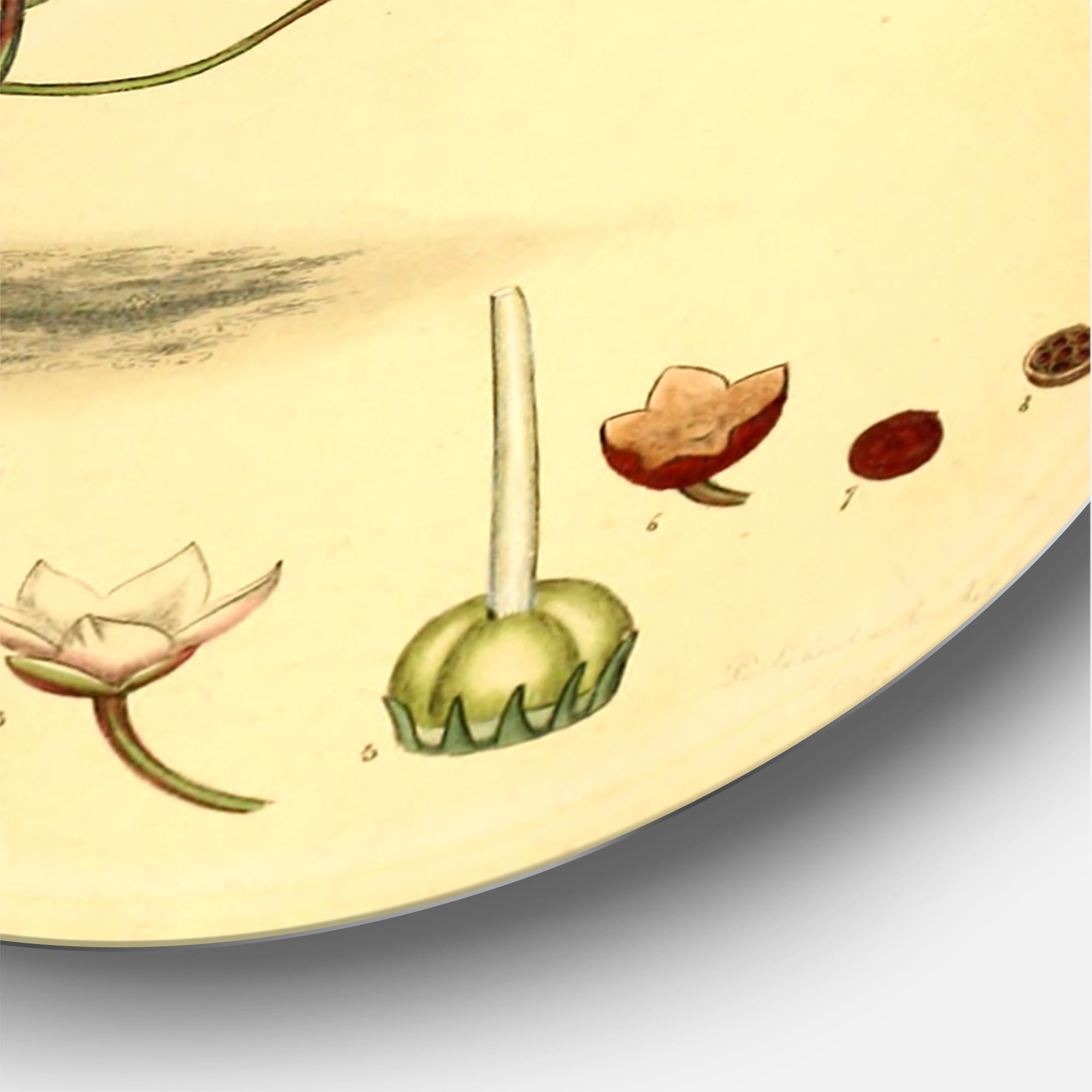 Designart 'Ancient Plant Life III' Traditional Circle Metal Wall Art 23x23 - Disc of 23