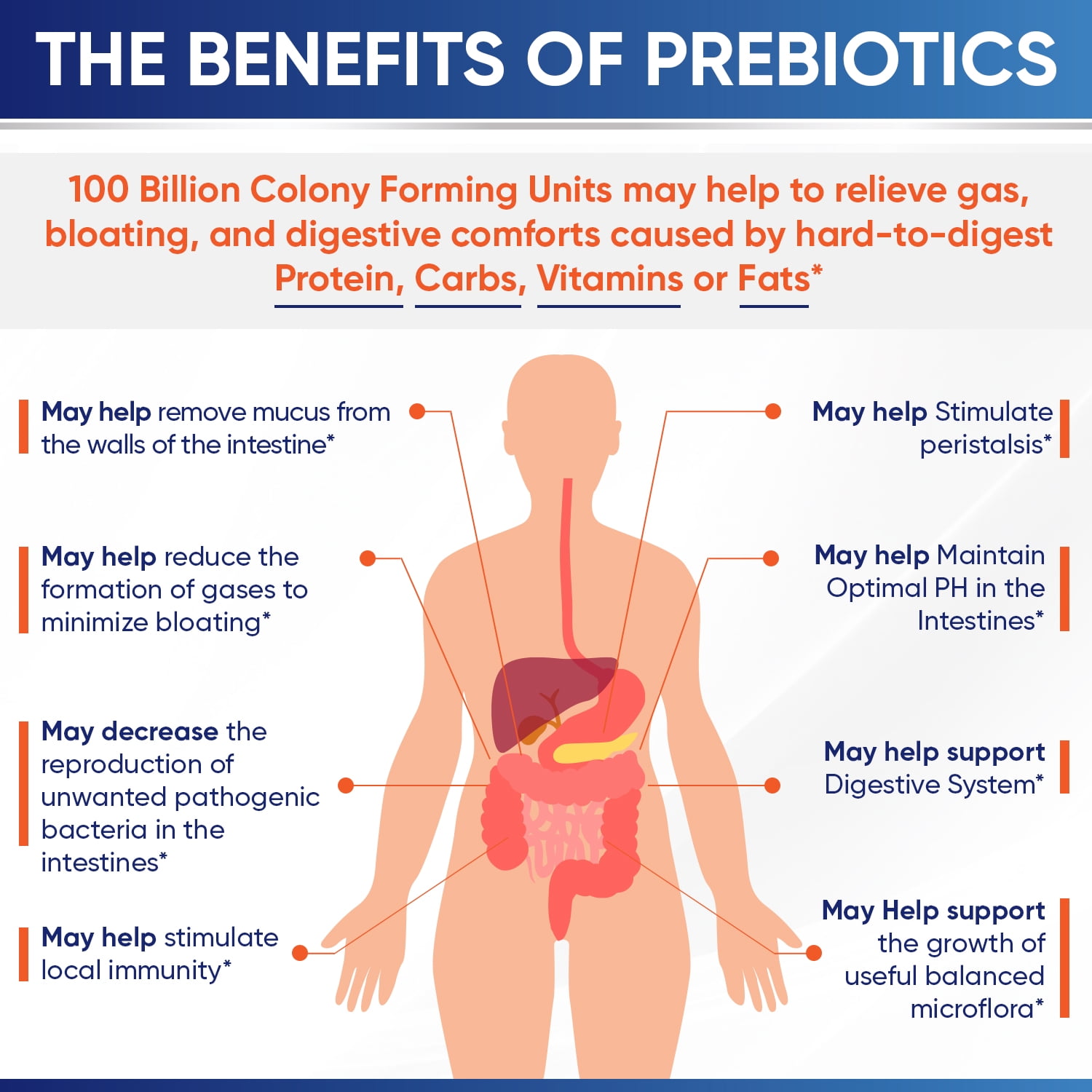 Probiotics 100 Billion CFU, Probiotics for Women, Probiotics for Men and Adults, Shelf Stable Probiotic Supplement with Prebiotics & Digestive Enzymes; 30 Capsules