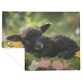 thumbnail image 4 of Black Lamb Sleeping on Moss Surrounded by Spring Flowers Fleece Sherpa Blanket ("60x80", Fleece), 4 of 6
