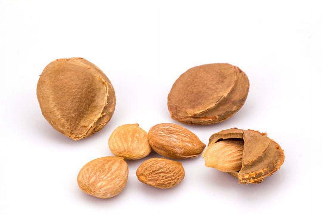 Apricot Kernel Oil Refined Organic Carrier Cold Pressed 100% Pure 32 oz