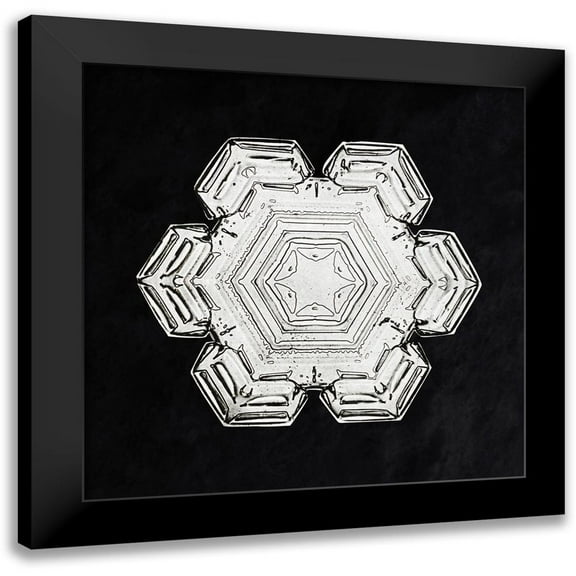 Bentley, Wilson 12x12 Black Modern Framed Museum Art Print Titled - Snowflake 10