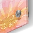 thumbnail image 3 of Epic Art 'Floral Soak' by Cindy Jacobs, Acrylic Glass Wall Art, 24"x24", 3 of 8