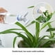 thumbnail image 5 of Advancent Boquilla de aspersor de riego 2 modos tapa de agua cabeza de aspersión casa césped Patio plantación herramientas de riego de jardinería Jardín y Patio Gris Advancent HA004924-02, 5 of 6