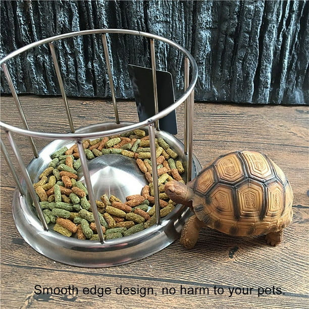 Tortoise feeder sale