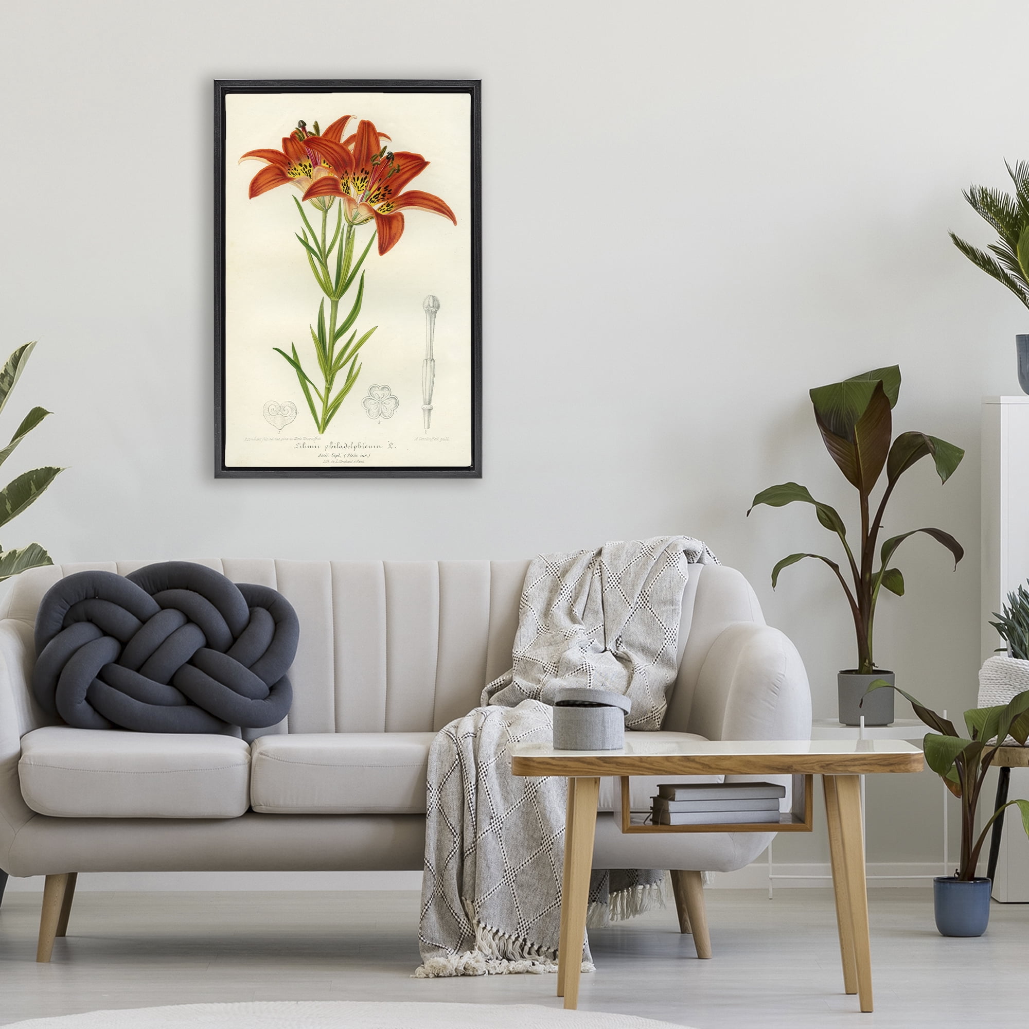 Stupell Industries Western Red Lily Black Framed Floater Canvas Wall Art, design by Print Collection