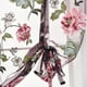 thumbnail image 5 of Cortina de ventana romana con flor de peonía transparente para cocina, cenefa, cortinas de gasa semitransparentes, tratamiento de ventana Advancent JJ23234-02, 5 of 6