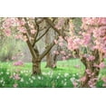 thumbnail image 2 of Grippo-Pike, Carrie Ann 14x11 Black Ornate Wood Framed with Double Matting Museum Art Print Titled - Springtime Fairytale Cherry Tree, 2 of 4