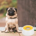 thumbnail image 4 of unbranded Dog Bowl De Amarillo Con Antiderrames Para Mascotas, 4 of 8