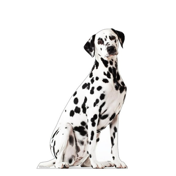 Advanced Graphics 5200 48 x 18 in. Dalmatian Dog Life-Size Cardboard Cutout