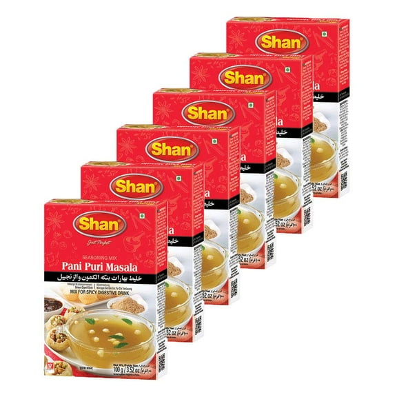 Shan Pani Puri Seasoning Mix 3.52 oz (100g) - Spice Powder for Spicy Digestive Drink - Suitable for Vegetarians - Airtight Bag in a Box (Pack of 6)