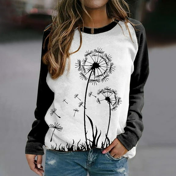 AOOCHASLIY Women Fall Tops Fashion Womens Long Sleeve Casual Round-Neck Print Shirt Tops Sweatshirt