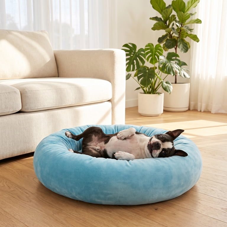 Vibrant Life Small Squishy Cuddler Pet Bed, Blue, 17" photo 4