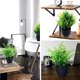 thumbnail image 5 of Pequeñas plantas artificiales en maceta negra, eucalipto artificial en maceta, miniplantas de césped artificial en maceta, vegetación para decoración del hogar, interior, oficina, mesa, habitación,, 5 of 6